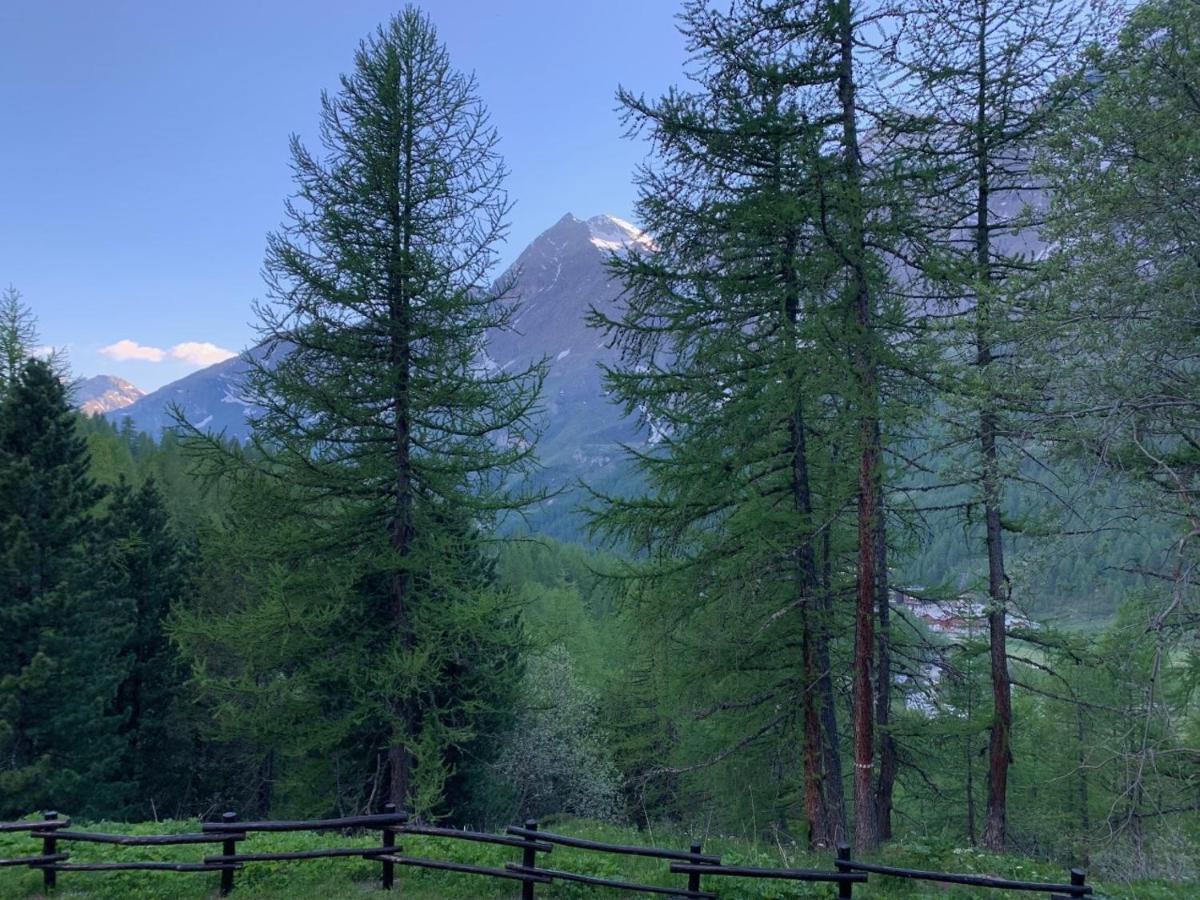 Casa Camas, Wide 2Bedroom, Feel The Mountain Брей-Червінія Екстер'єр фото